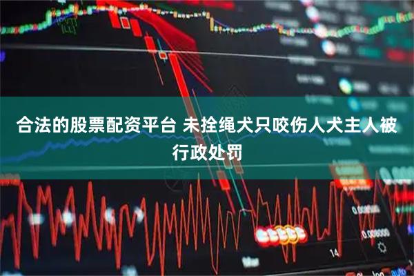 合法的股票配资平台 未拴绳犬只咬伤人犬主人被行政处罚