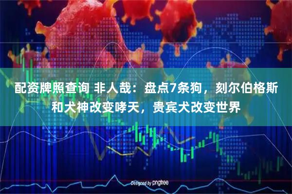 配资牌照查询 非人哉：盘点7条狗，刻尔伯格斯和犬神改变哮天，贵宾犬改变世界