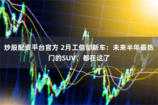 炒股配资平台官方 2月工信部新车：未来半年最热门的SUV，都在这了