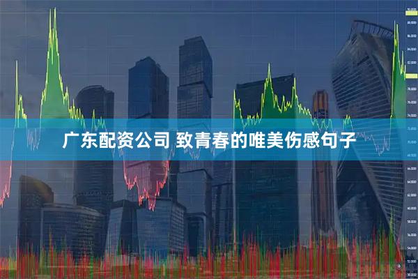 广东配资公司 致青春的唯美伤感句子